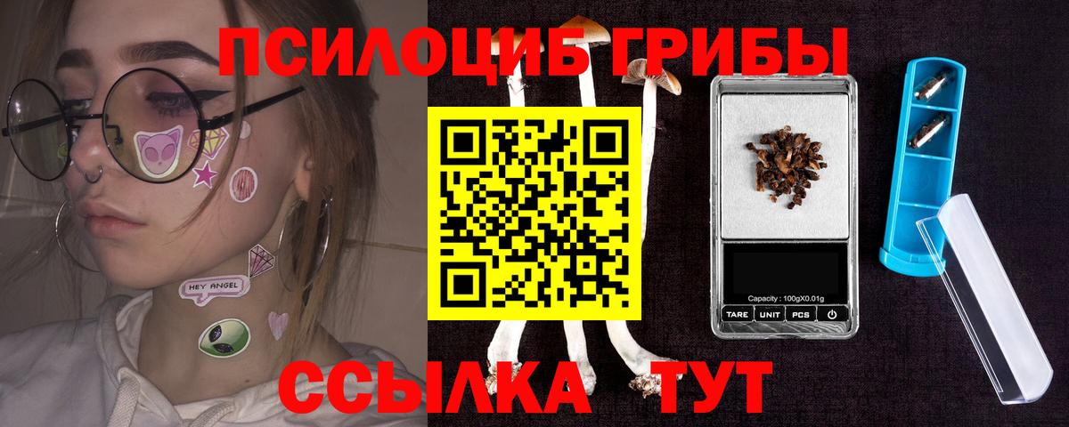 Псилоцибиновые грибы Psilocybine cubensis Южноуральск