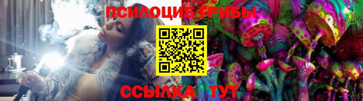 Псилоцибиновые грибы Psilocybine cubensis  Вход с VPN  Галлюциногенные грибы прущие грибы  Южноуральск 